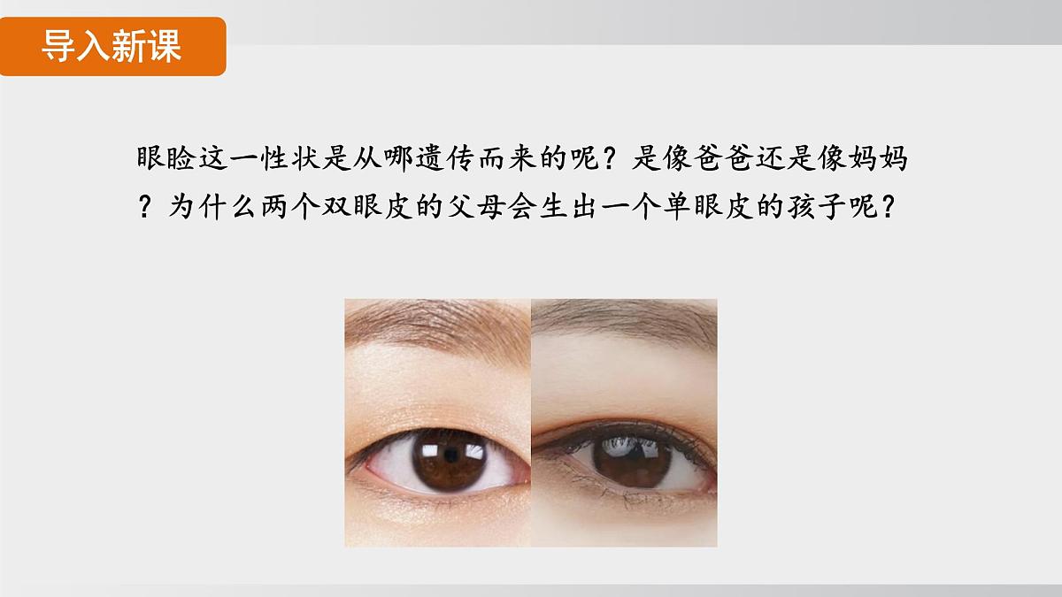 2025年春人教版生物八年级下册上课课件 第七单元第二章第三节第4页