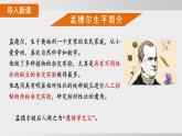 2025年春人教版生物八年級下冊上課課件 第七單元第二章第三節(jié)