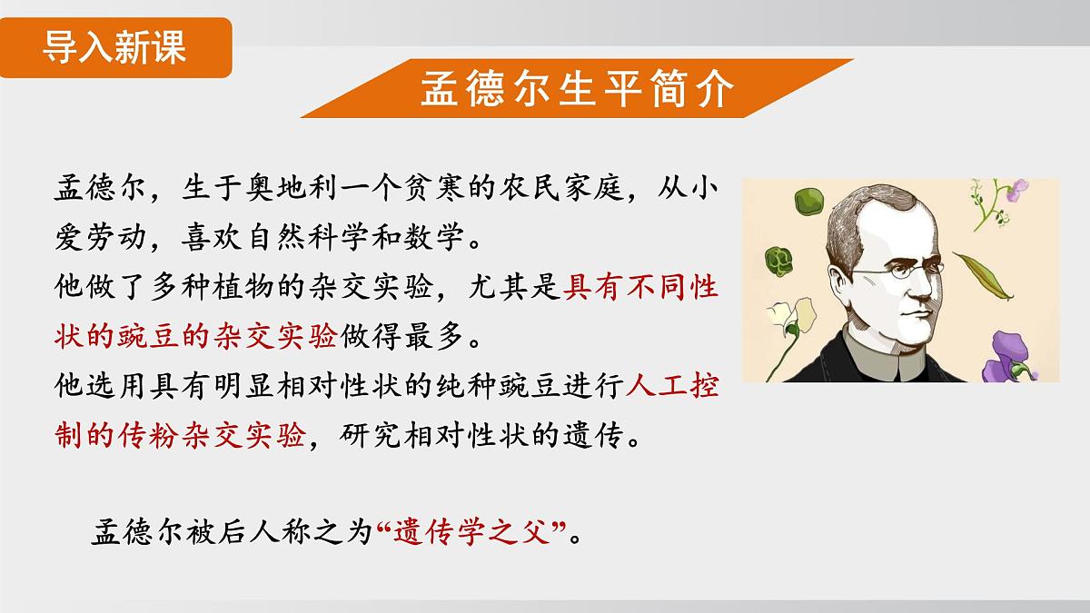 2025年春人教版生物八年级下册上课课件 第七单元第二章第三节第5页