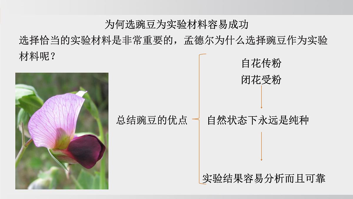 2025年春人教版生物八年级下册上课课件 第七单元第二章第三节第8页
