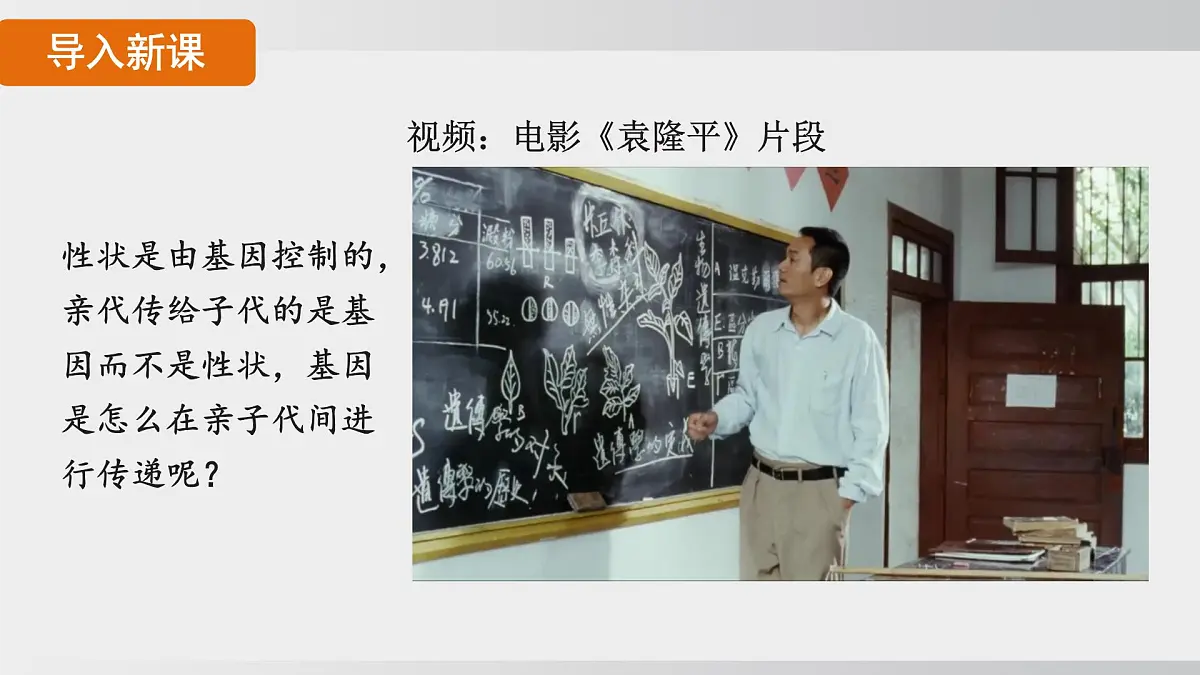 2025年春人教版生物八年级下册上课课件 第七单元第二章第二节第3页