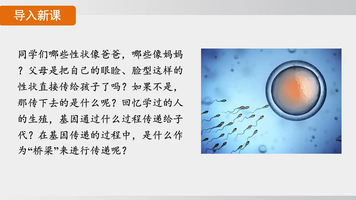 2025年春人教版生物八年级下册上课课件 第七单元第二章第二节第4页