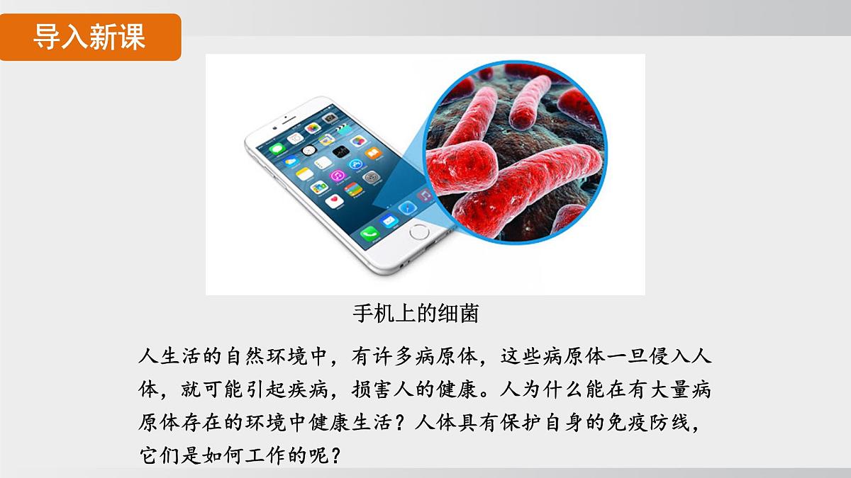 2025年春人教版生物八年级下册上课课件 第八单元第一章第二节第3页