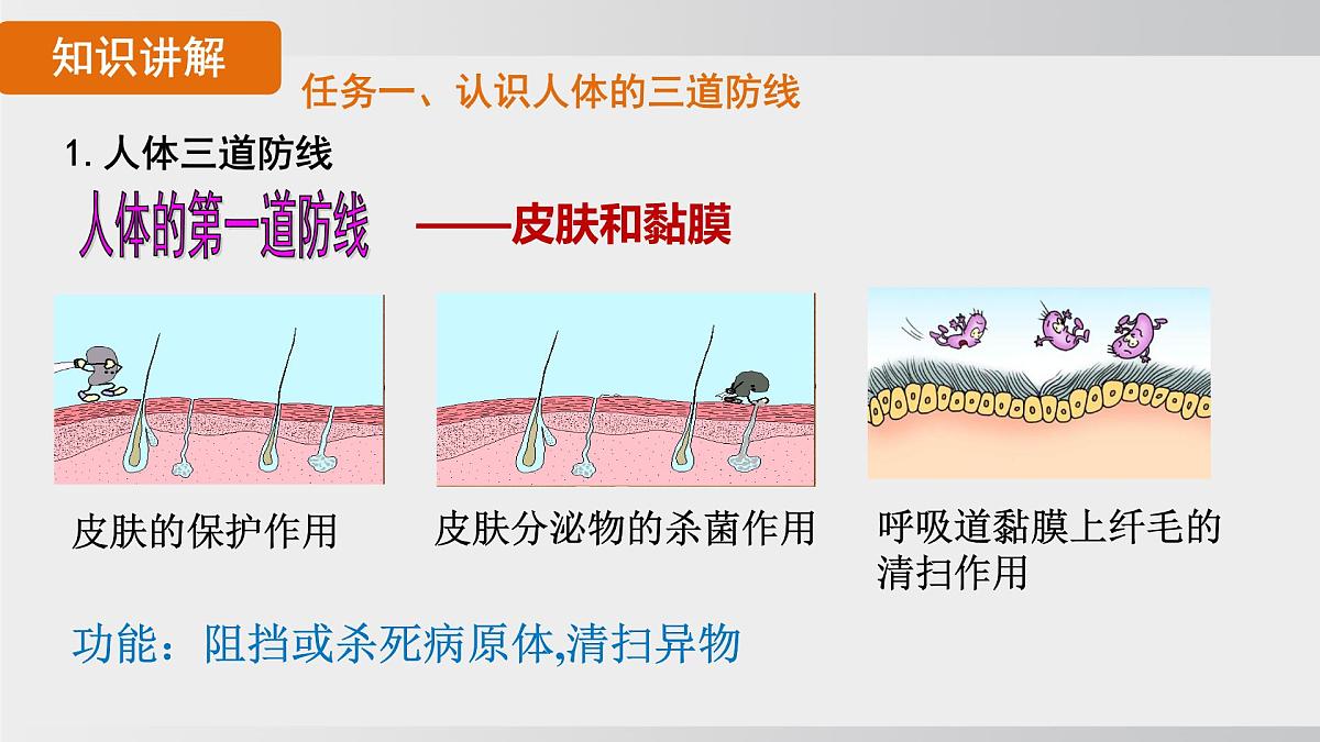 2025年春人教版生物八年级下册上课课件 第八单元第一章第二节第6页
