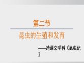 2025年春人教版生物八年級(jí)下冊(cè)上課課件 第七單元第一章第二節(jié)