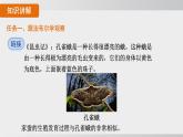 2025年春人教版生物八年級(jí)下冊(cè)上課課件 第七單元第一章第二節(jié)