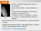 2025年春人教版生物八年級下冊上課課件 第七單元第三章第一節(jié)