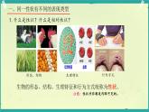 初中 生物 濟(jì)南版（2024）七年級下冊4.3.2  生物的性狀主要由基因決定 課件