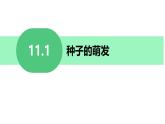 初中 生物 蘇科版（2024）七年級下冊5.11.1種子的萌發(fā) 課件
