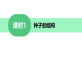 初中 生物 蘇科版（2024）七年級下冊5.11.1種子的萌發(fā) 課件