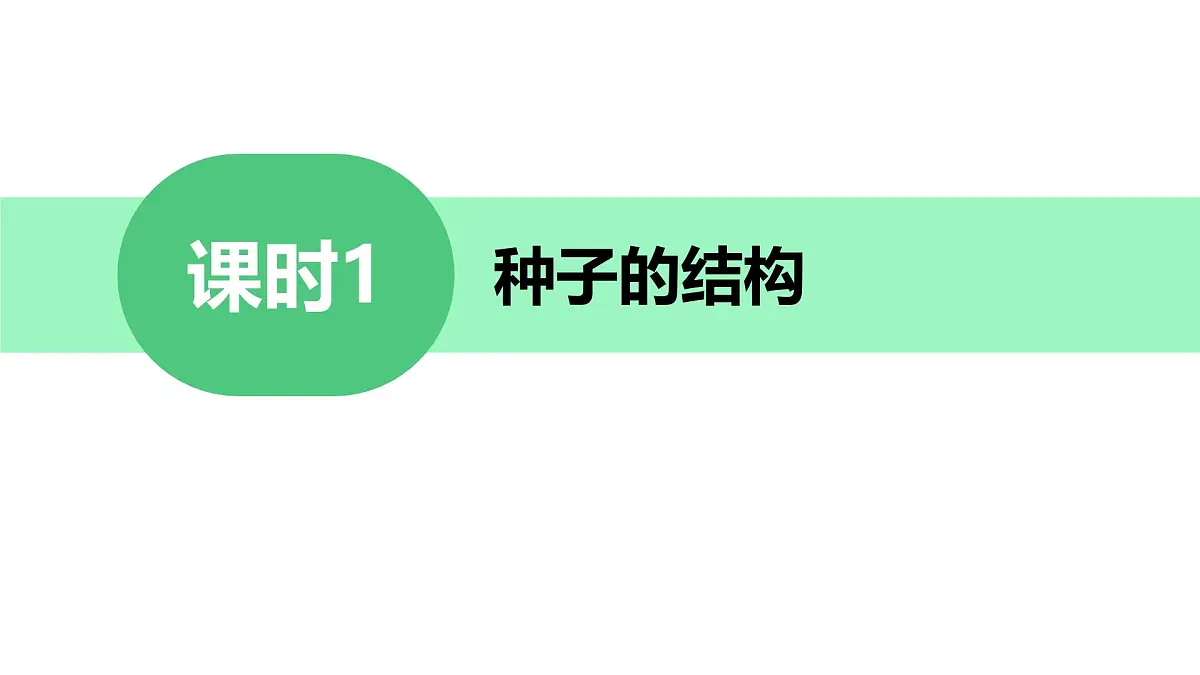 初中 生物 苏科版（2024）七年级下册5.11.1种子的萌发 课件第2页
