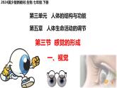 初中 生物 冀少版（2024）七年級下冊3.5.3.1 感覺的形成-視覺 課件