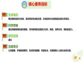 初中 生物 冀少版（2024）七年級下冊3.5.3.1 感覺的形成-視覺 課件