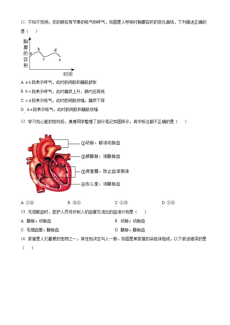 2025年河南省焦作市八年级中考二模生物试题（中考模拟）第3页