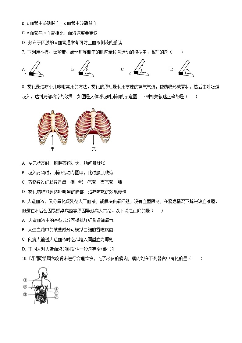 2025年河南省平顶山市鲁山县西北七校八年级中考三模生物试题（中考模拟）第2页