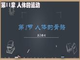 初中 生物 北師大版（2024）七年級下冊4.11.1 人體的骨骼第2課時 課件