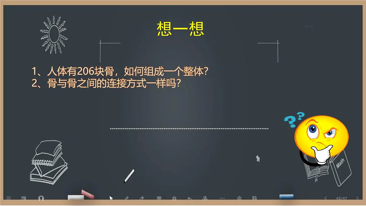初中 生物 北师大版（2024）七年级下册4.11.1 人体的骨骼第2课时 课件第3页