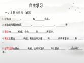 初中 生物 北師大版（2024）七年級下冊4.9.3 皮膚與汗液分泌 課件