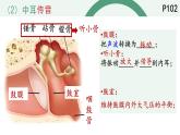 初中 生物 北師大版（2024）七年級下冊4.10.2.2 感受器和感覺器官-耳和聽覺的形成 課件