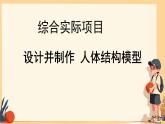 初中 生物 人教版（2024）七年級(jí)下冊(cè)（2024） 第四單元 人體生理與健康（一）第五章綜合實(shí)踐項(xiàng)目 設(shè)計(jì)并制作人體結(jié)構(gòu)模型 課件
