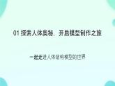 初中 生物 人教版（2024）七年級(jí)下冊(cè)（2024） 第四單元 人體生理與健康（一）第五章綜合實(shí)踐項(xiàng)目 設(shè)計(jì)并制作人體結(jié)構(gòu)模型 課件