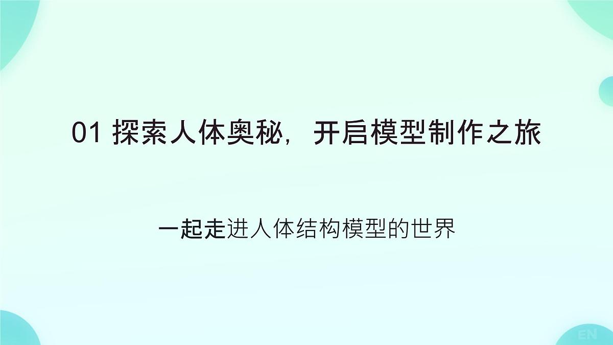 初中 生物 人教版（2024）七年级下册（2024） 第四单元 人体生理与健康（一）第五章综合实践项目 设计并制作人体结构模型 课件第3页