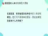 初中 生物 人教版（2024）七年級(jí)下冊(cè)（2024） 第四單元 人體生理與健康（一）第五章綜合實(shí)踐項(xiàng)目 設(shè)計(jì)并制作人體結(jié)構(gòu)模型 課件