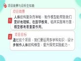 初中 生物 人教版（2024）七年級(jí)下冊(cè)（2024） 第四單元 人體生理與健康（一）第五章綜合實(shí)踐項(xiàng)目 設(shè)計(jì)并制作人體結(jié)構(gòu)模型 課件