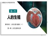 新人教版生物七下 4-1-1《人的生殖》课件