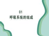 新人教版生物七下 4-3-1《呼吸道对空气的处理》课件