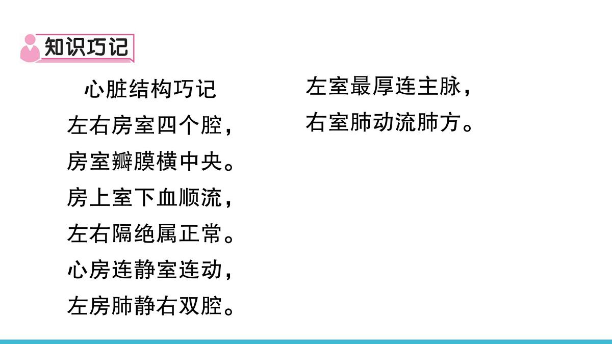 新人教版生物七下 4-4-3《输送血液的泵——心脏（第1课时  心脏的结构和功能）》课件第3页