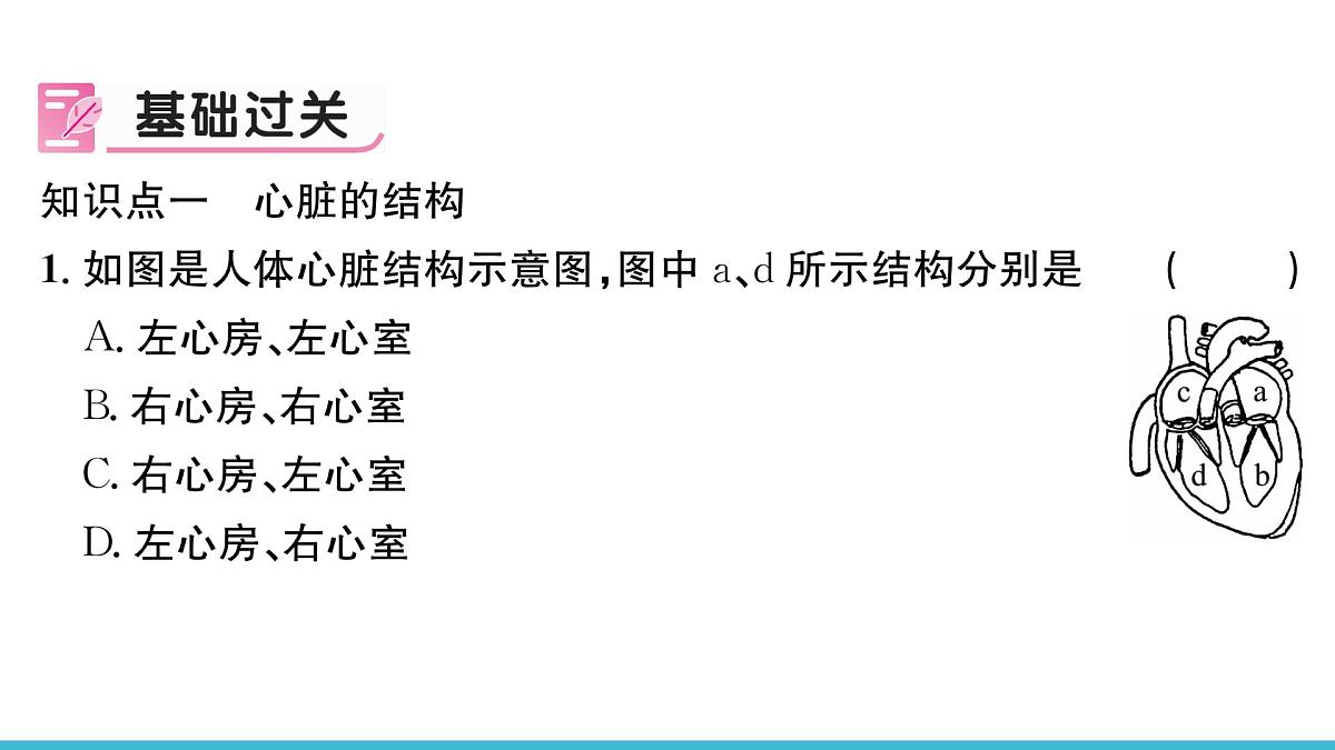 新人教版生物七下 4-4-3《输送血液的泵——心脏（第1课时  心脏的结构和功能）》课件第4页