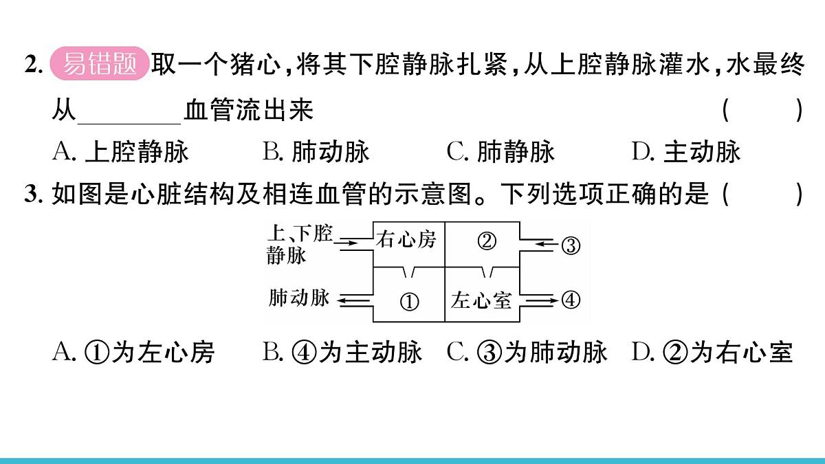 新人教版生物七下 4-4-3《输送血液的泵——心脏（第1课时  心脏的结构和功能）》课件第5页