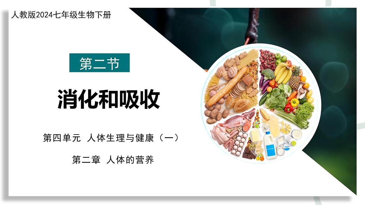 新人教版生物七下 4-2-2《消化和吸收》课件第1页