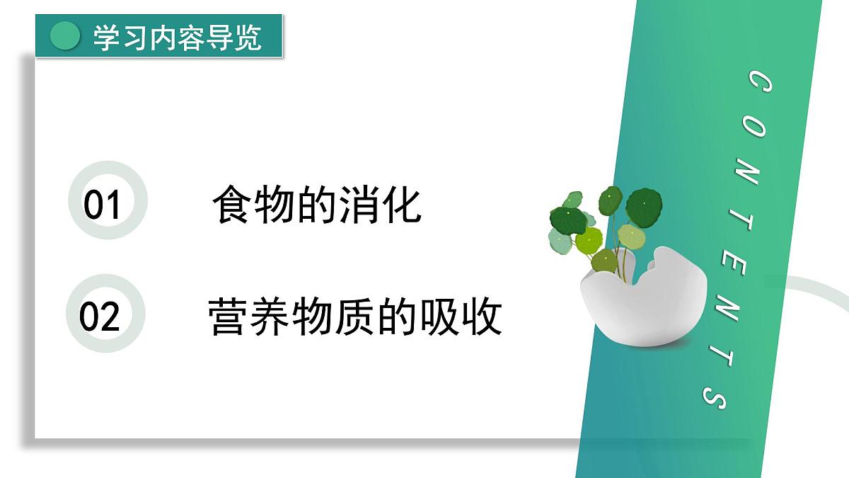 新人教版生物七下 4-2-2《消化和吸收》课件第2页