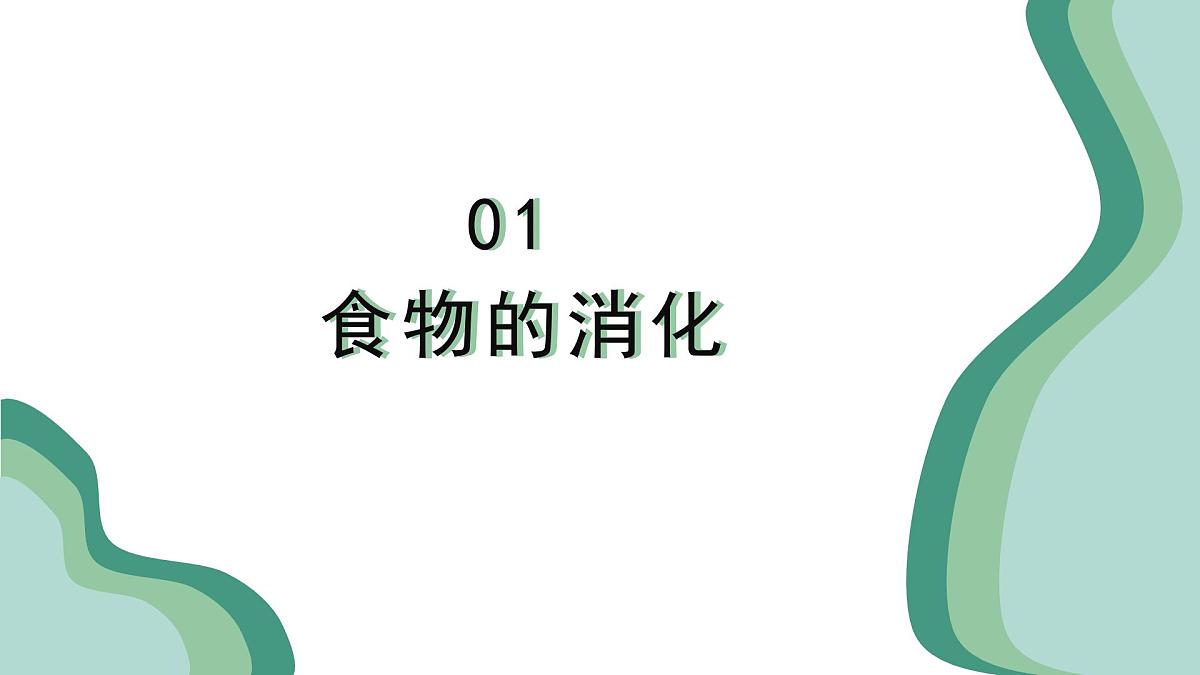 新人教版生物七下 4-2-2《消化和吸收》课件第5页