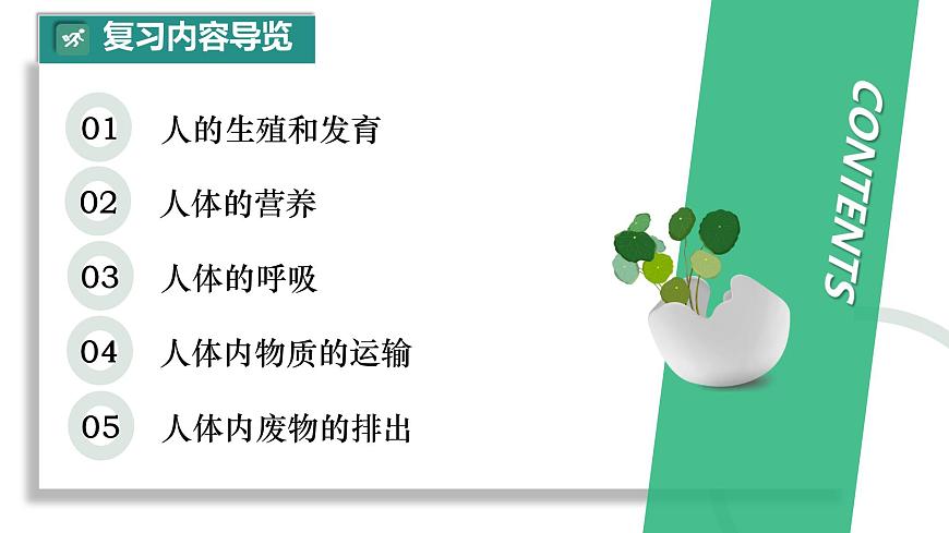 初中 生物 人教版（2024）七年级下册（2024）第四单元 人体生理与健康（一）单元复习课件第2页