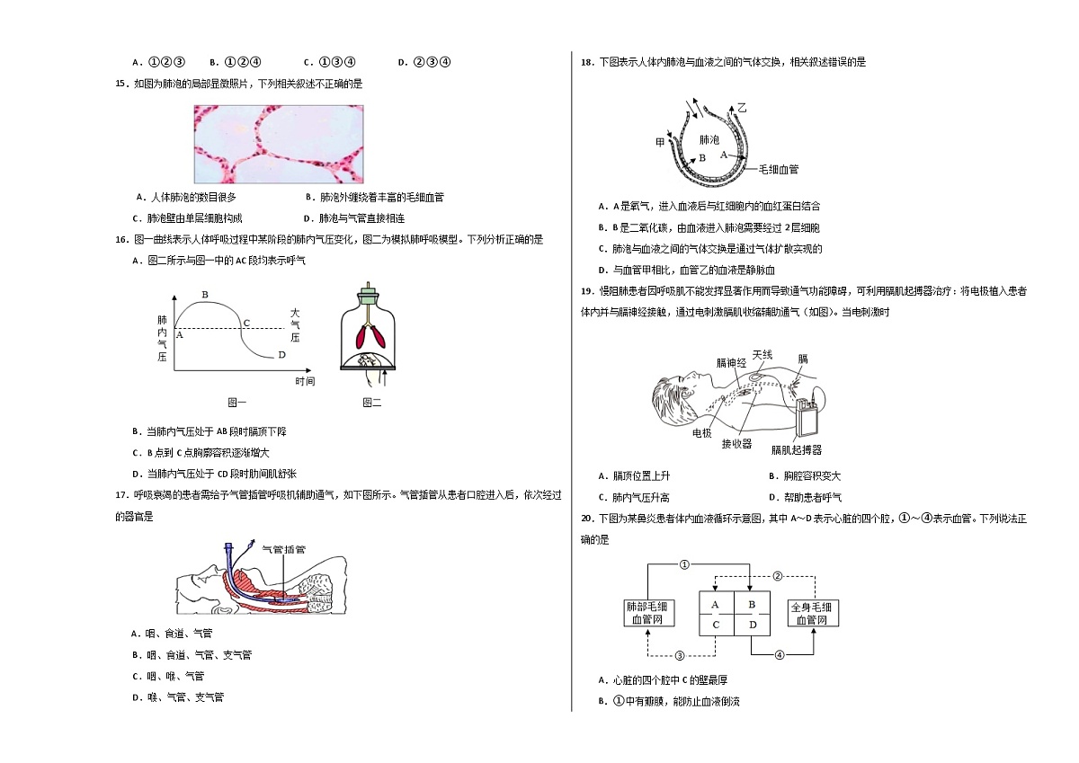 生物（广东省卷）（考试版A3）第3页