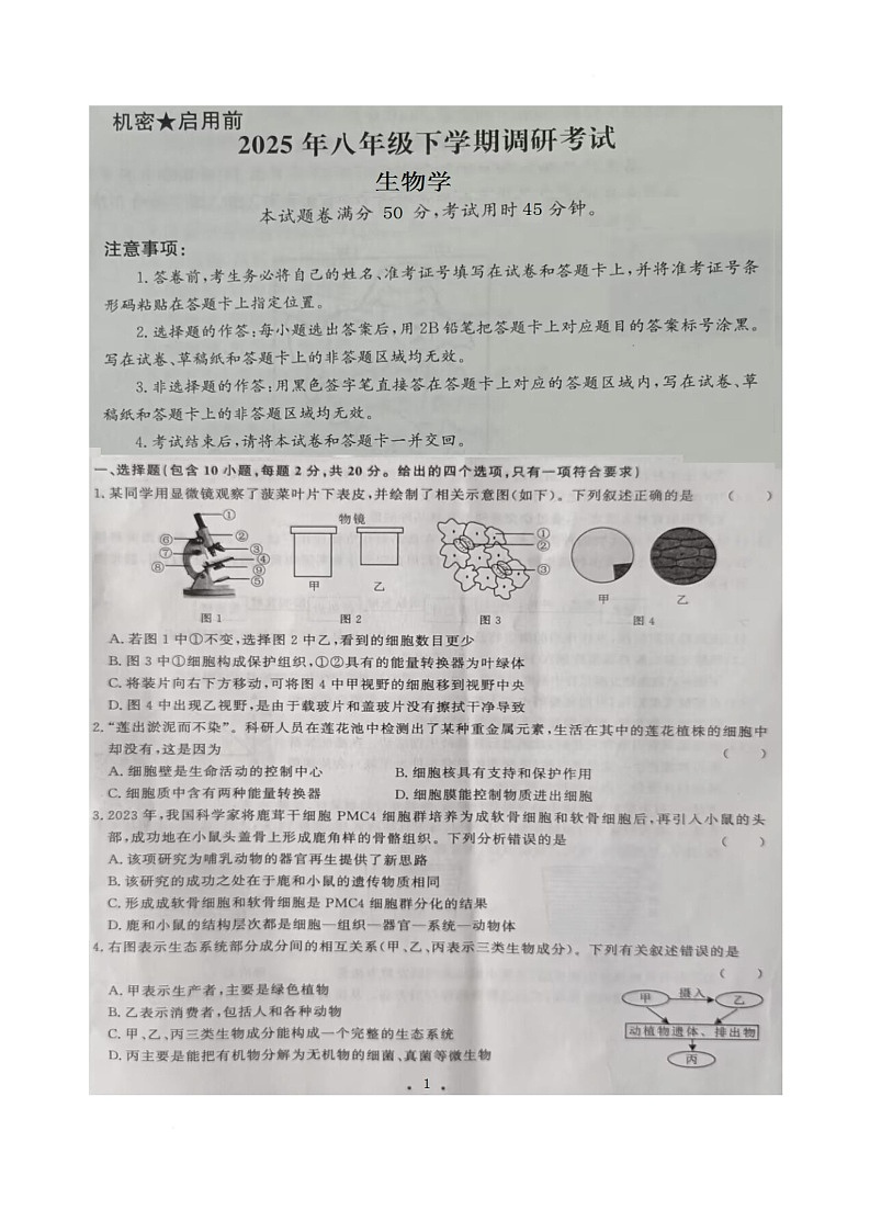 2025年湖北省恩施市舞阳中学八年级第二次调研考试生物试题卷（中考模拟）第1页