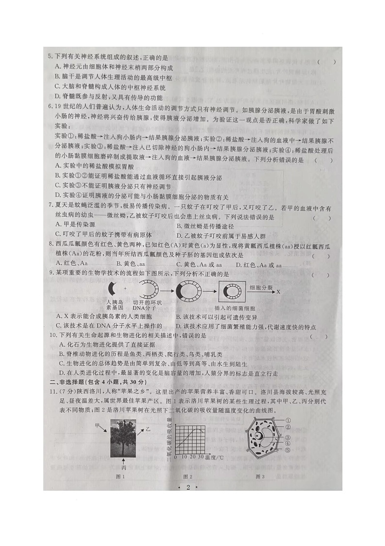 2025年湖北省恩施市舞阳中学八年级第二次调研考试生物试题卷（中考模拟）第2页