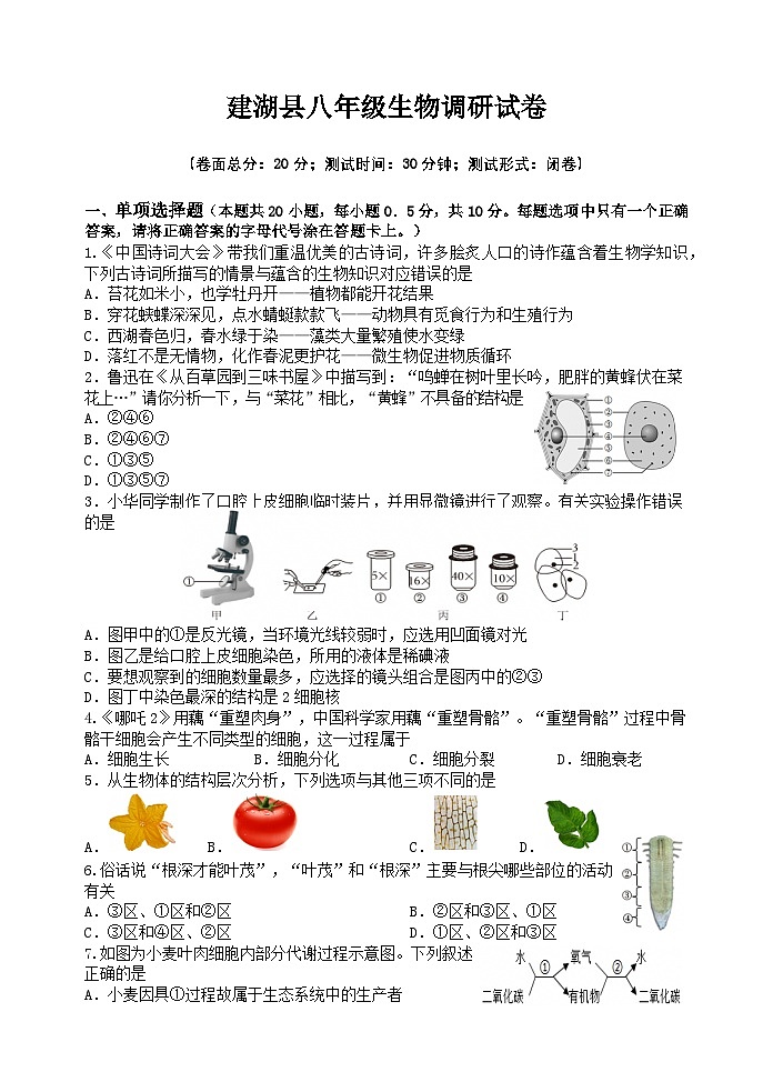 2025年江苏省盐城市建湖县八年级中考模拟预测生物试卷（中考模拟）第1页