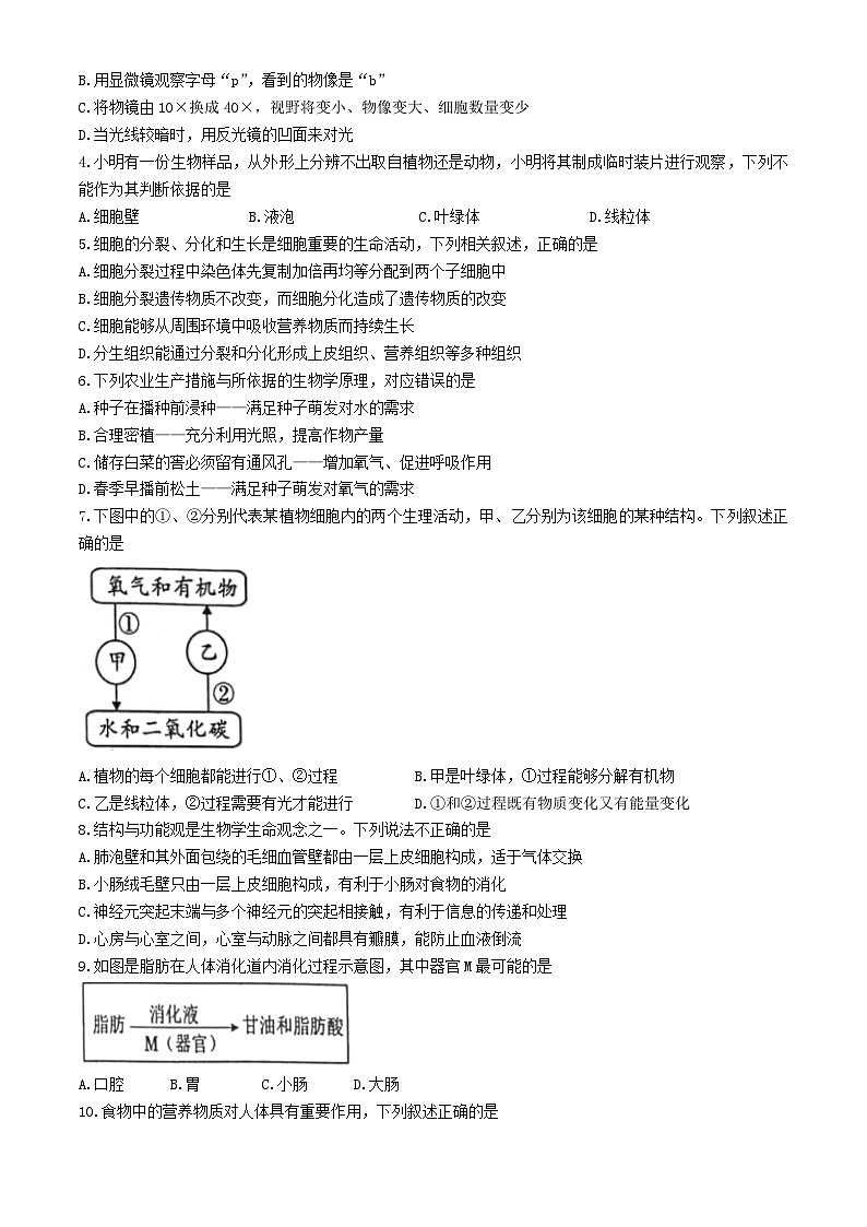 2025年四川省眉山市仁寿县八年级中考模拟生物试题（中考模拟）第2页