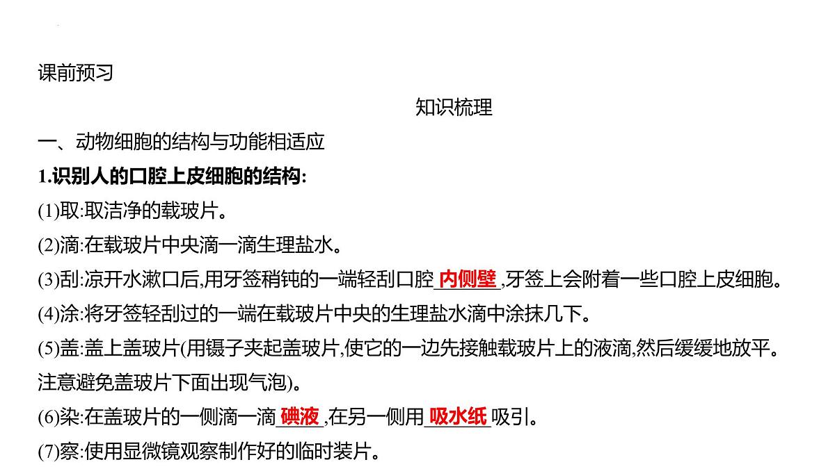 1.1.2动物细胞的结构与功能+课件－2024－2025学年苏教版生物七年级上册第2页