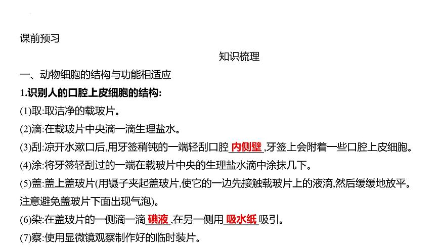 1.1.2动物细胞的结构与功能+课件－2024－2025学年苏教版生物七年级上册第2页