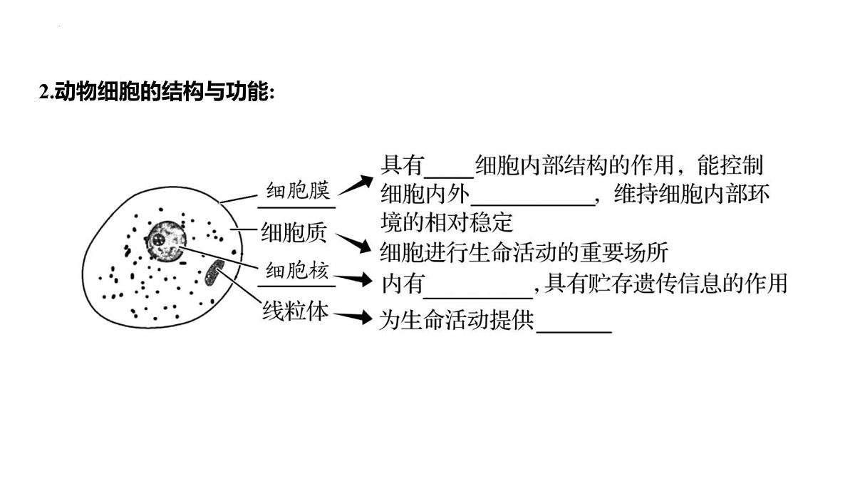 1.1.2动物细胞的结构与功能+课件－2024－2025学年苏教版生物七年级上册第3页