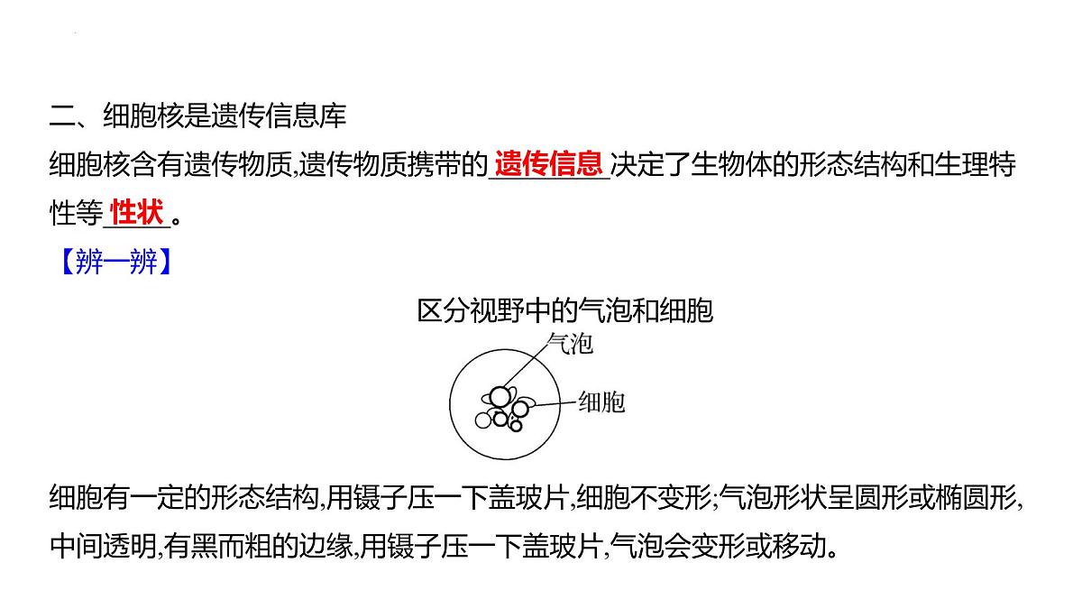 1.1.2动物细胞的结构与功能+课件－2024－2025学年苏教版生物七年级上册第4页