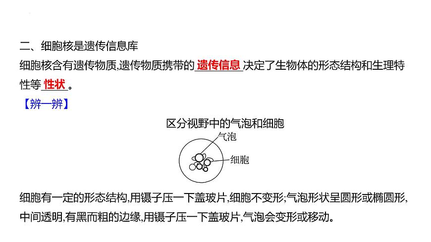 1.1.2动物细胞的结构与功能+课件－2024－2025学年苏教版生物七年级上册第4页