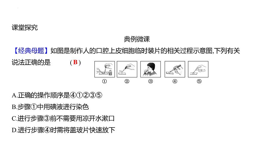 1.1.2动物细胞的结构与功能+课件－2024－2025学年苏教版生物七年级上册第5页