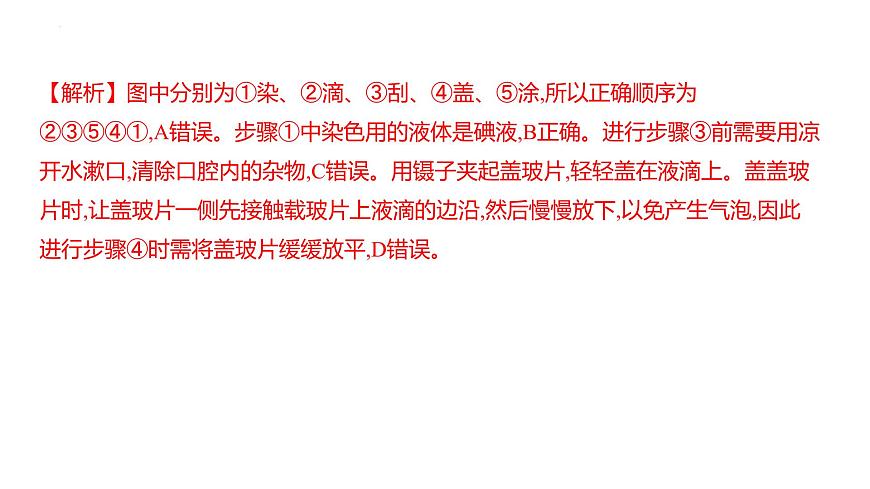 1.1.2动物细胞的结构与功能+课件－2024－2025学年苏教版生物七年级上册第6页