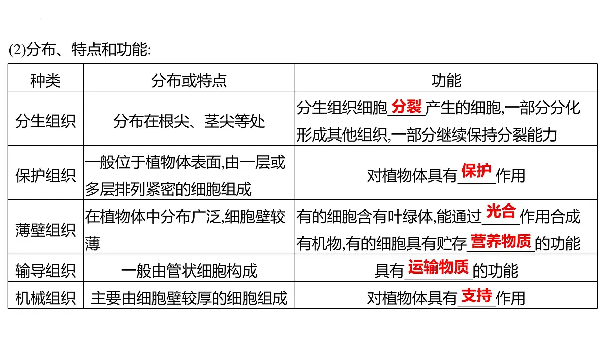 1.2.1细胞的分裂和分化+课件－2024－2025学年苏教版生物七年级上册第7页